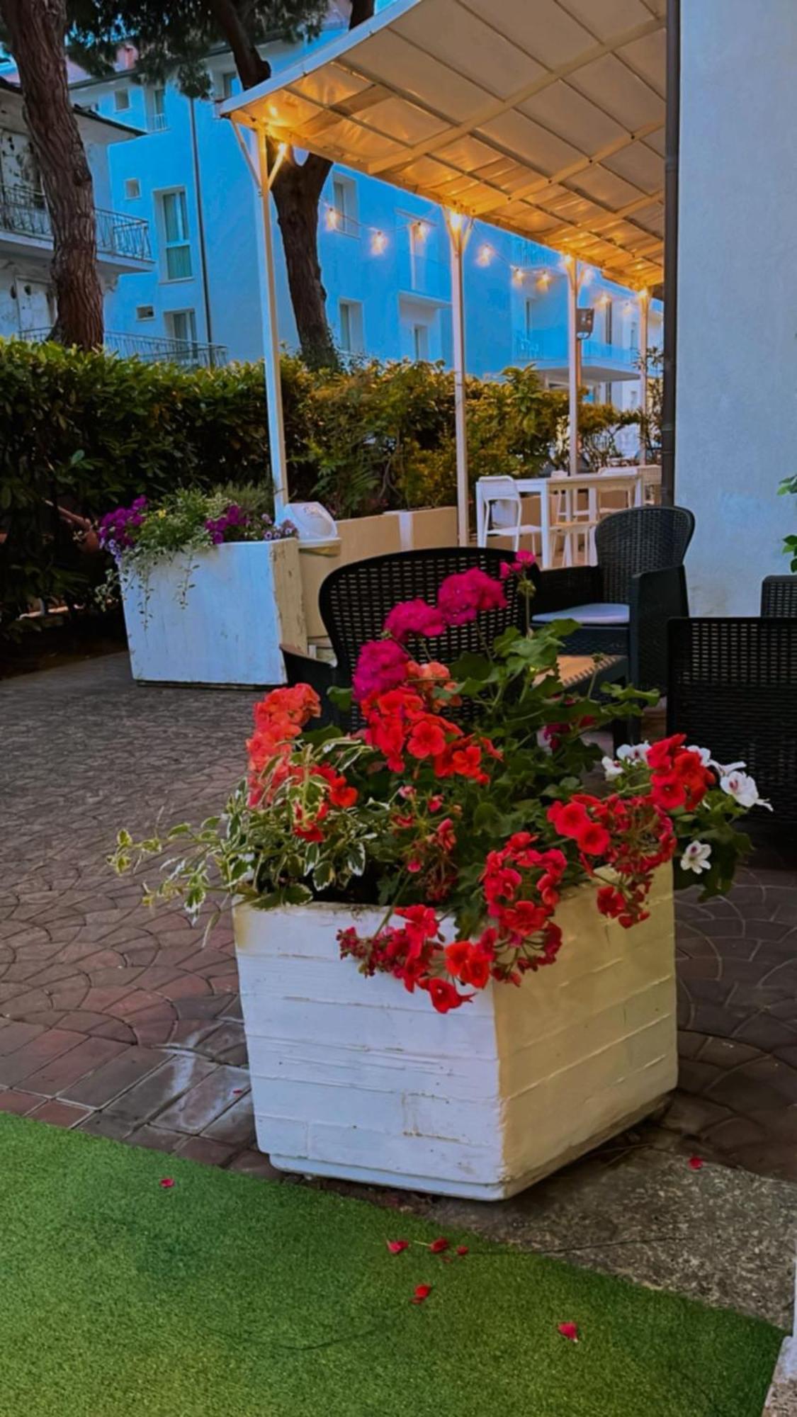 Hotel Dream Rimini Zewnętrze zdjęcie